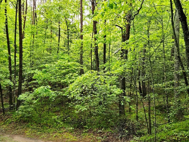 H7 River Sound Vlg, Hayesville, NC 28904