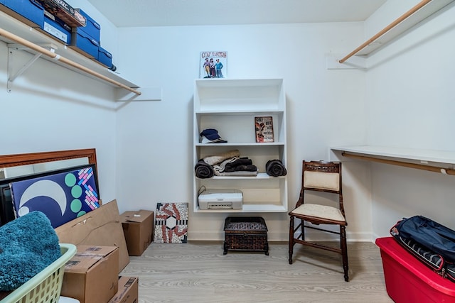 spacious closet with light wood-type flooring