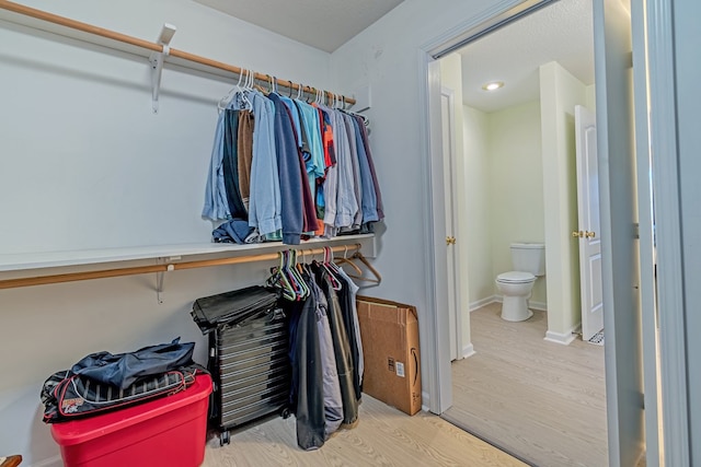 spacious closet featuring wood-type flooring