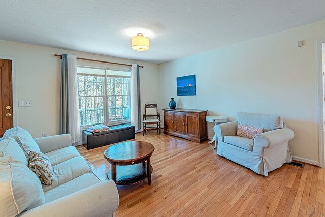 living room with light hardwood / wood-style flooring