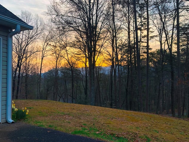 view of yard at dusk