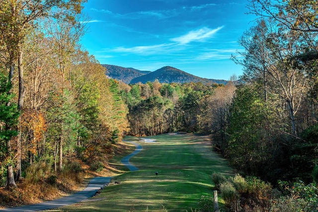 view of property's community with a mountain view