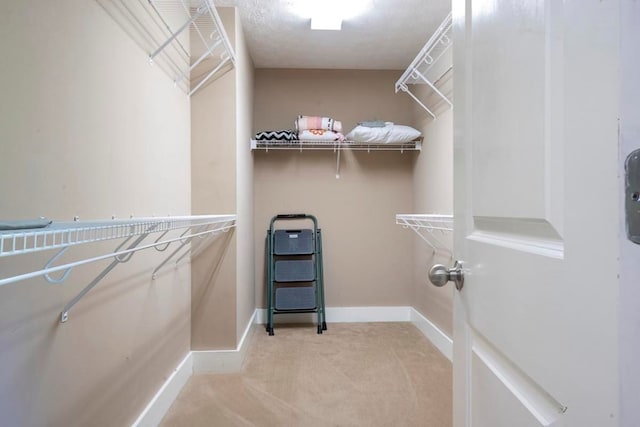 104 E Buck Run, Dahlonega, GA 30533 - spacious closet featuring light carpet