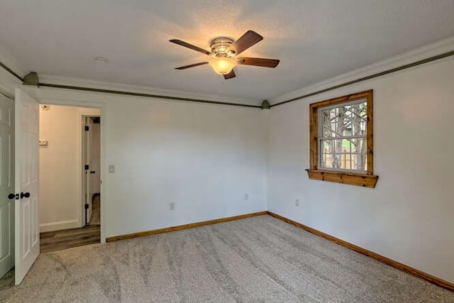 carpeted spare room featuring ceiling fan and crown molding