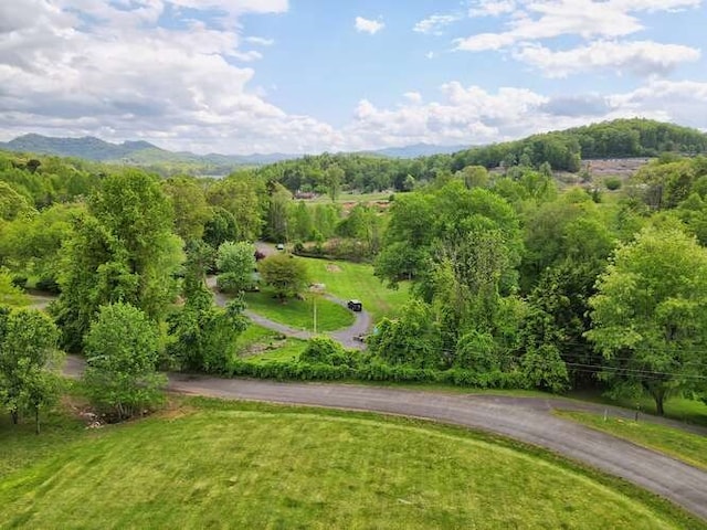 exterior space with a mountain view and a lawn