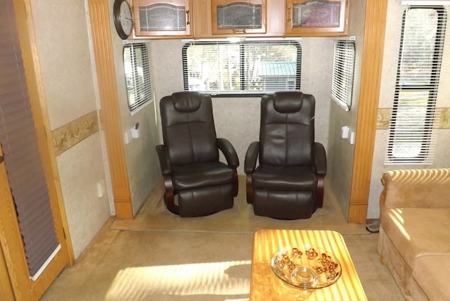 living area featuring light colored carpet