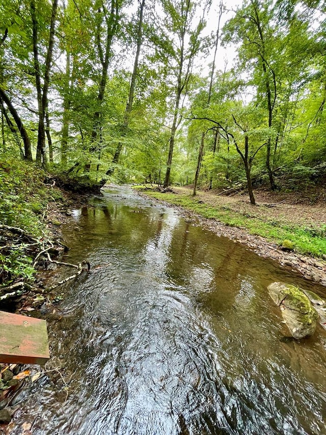 view of water feature