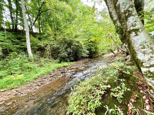 view of nature