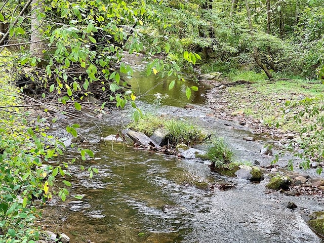 view of local wilderness