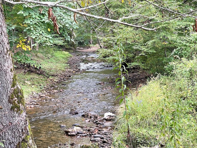 view of local wilderness