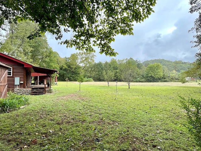view of yard featuring a wooded view