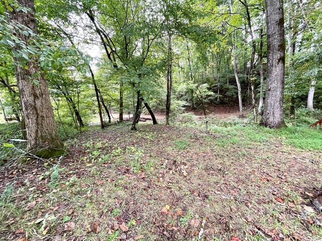 view of landscape featuring a wooded view