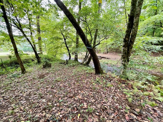 view of landscape with a forest view