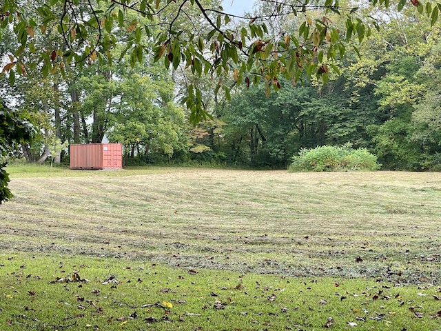 view of yard featuring an outbuilding and a storage unit