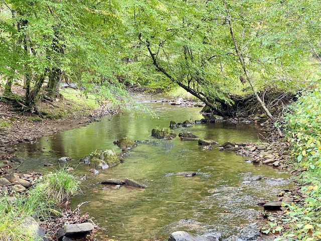 view of water feature