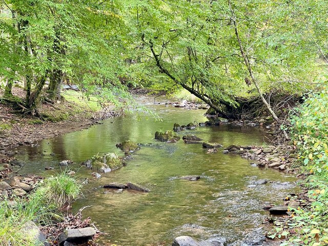 view of water feature featuring a wooded view