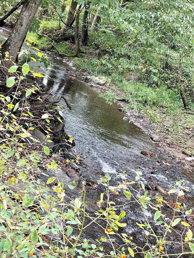 view of local wilderness