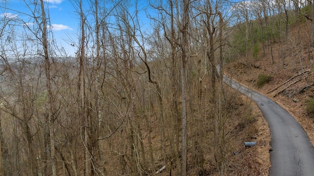 Listing photo 2 for LOT23 Grandeur Dr, Blue Ridge GA 30513