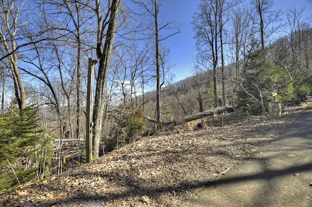 Listing photo 2 for LOT5 Lakeview Dr, Blue Ridge GA 30513