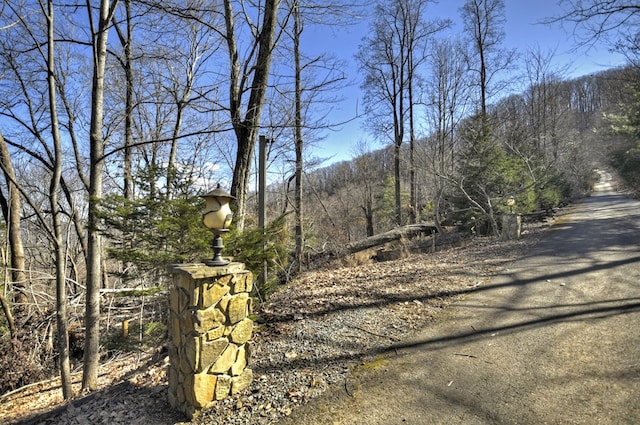 Listing photo 3 for LOT5 Lakeview Dr, Blue Ridge GA 30513