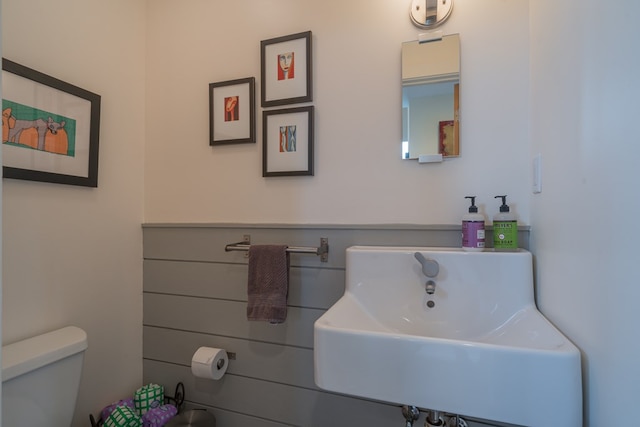 1181 Tickanetley Rd, Ellijay, GA 30536 - bathroom featuring a sink and toilet