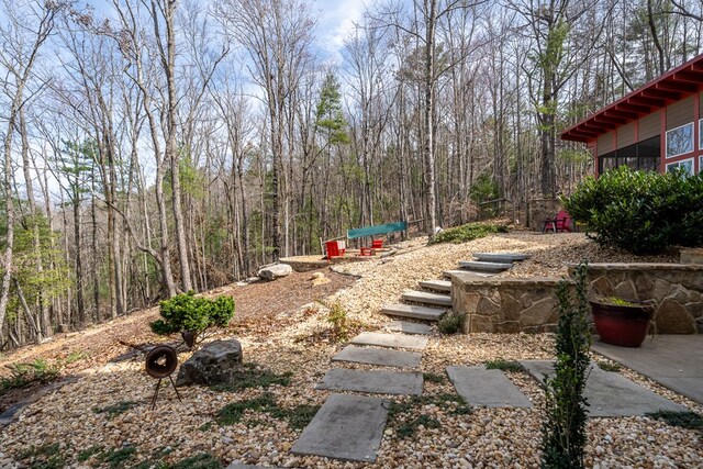 1181 Tickanetley Rd, Ellijay, GA 30536 - view of yard
