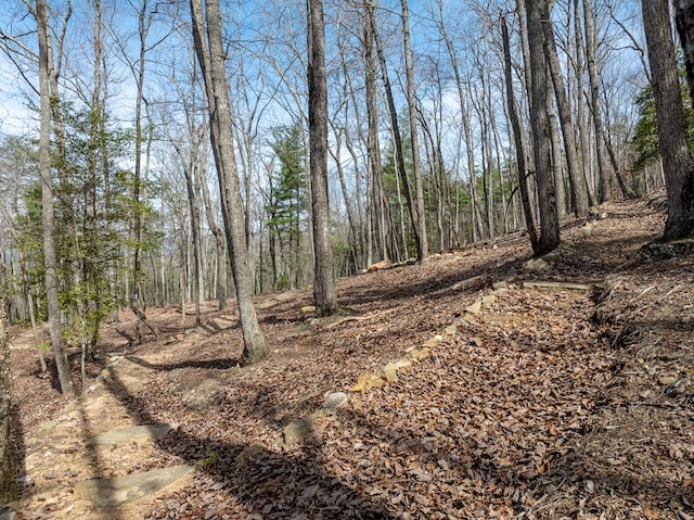 1181 Tickanetley Rd, Ellijay, GA 30536 - view of undeveloped land