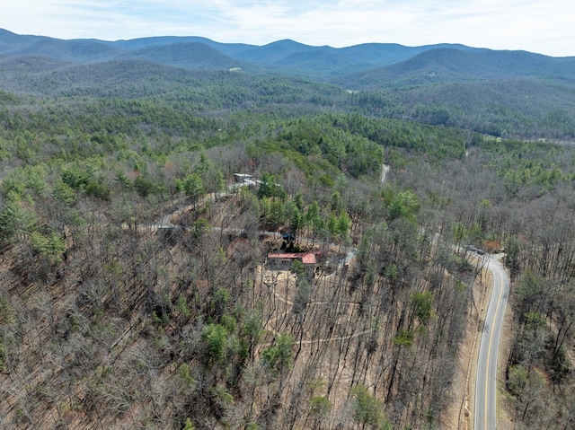 1181 Tickanetley Rd, Ellijay, GA 30536 - drone / aerial view of mountains