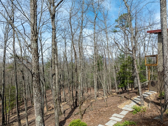 1181 Tickanetley Rd, Ellijay, GA 30536 - view of yard