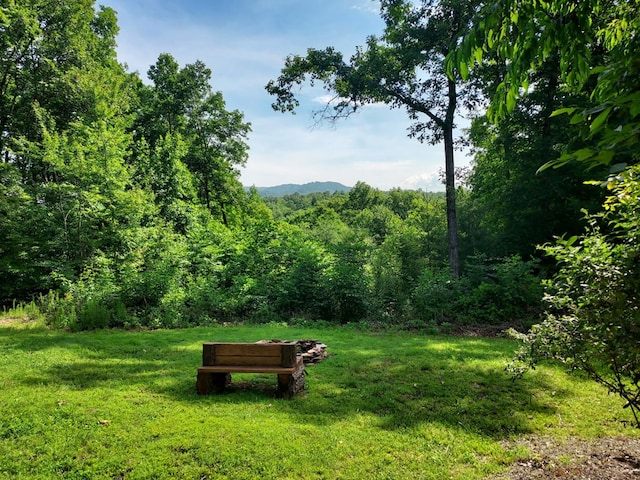 271 Kates Cove Rd, Murphy, NC 28906 - view of home's community with a yard, a forest view, and a mountain view