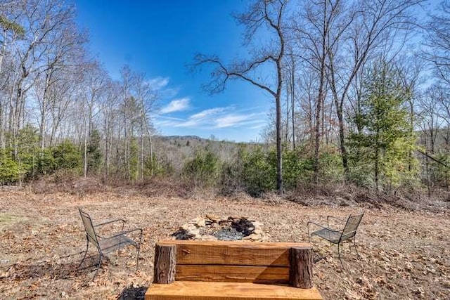 271 Kates Cove Rd, Murphy, NC 28906 - view of yard