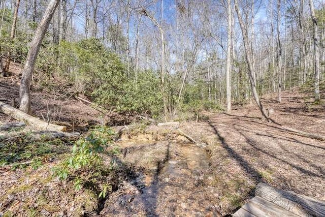 271 Kates Cove Rd, Murphy, NC 28906 - view of undeveloped land