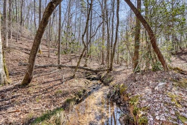 271 Kates Cove Rd, Murphy, NC 28906 - view of nature