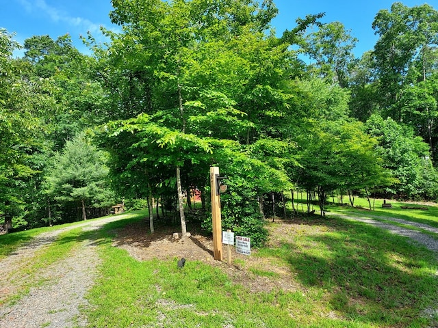 271 Kates Cove Rd, Murphy, NC 28906 - view of yard