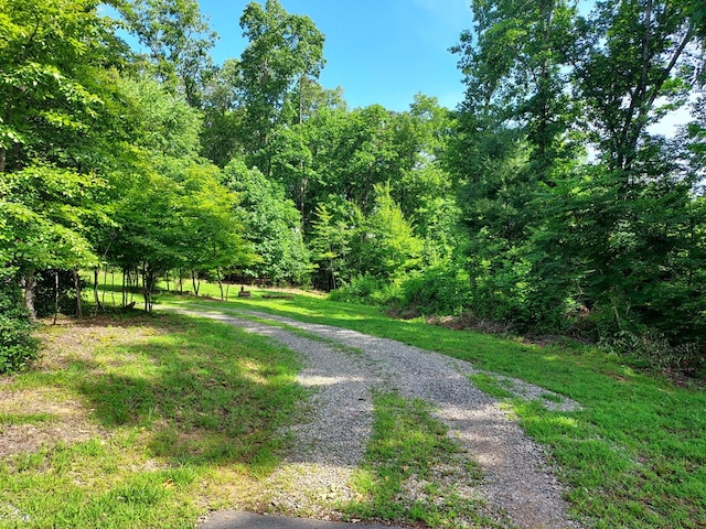 271 Kates Cove Rd, Murphy, NC 28906 - view of dirt / gravel road