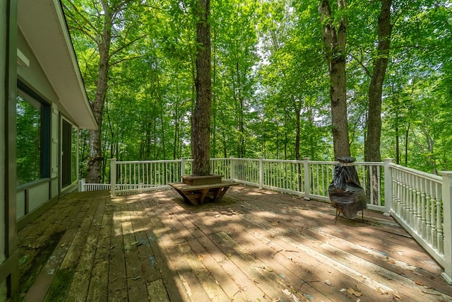 1504 Red Marble Rd, Andrews, NC 28901 - view of deck