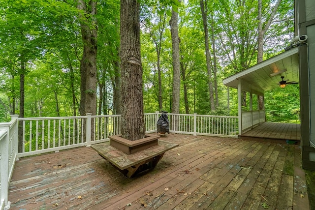 1504 Red Marble Rd, Andrews, NC 28901 - deck with ceiling fan