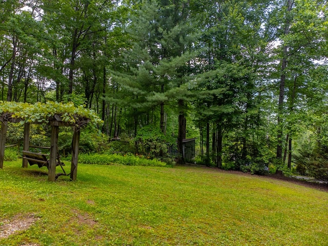 1504 Red Marble Rd, Andrews, NC 28901 - view of green lawn