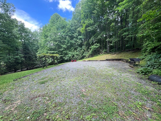1504 Red Marble Rd, Andrews, NC 28901 - view of yard featuring a wooded view