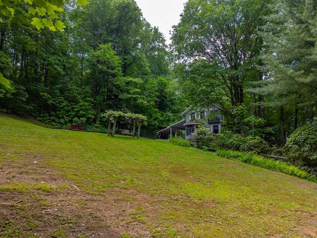 1504 Red Marble Rd, Andrews, NC 28901 - view of green lawn