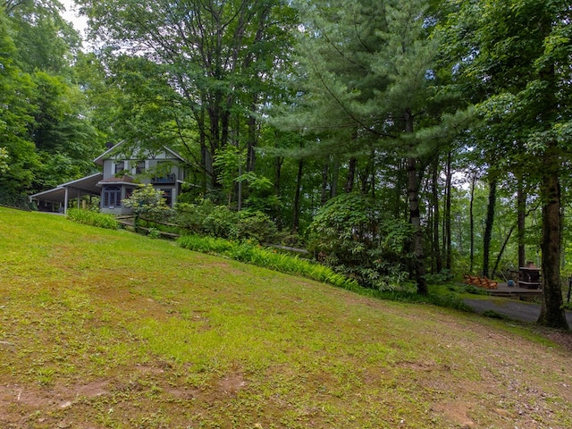 1504 Red Marble Rd, Andrews, NC 28901 - view of green lawn with a view of trees