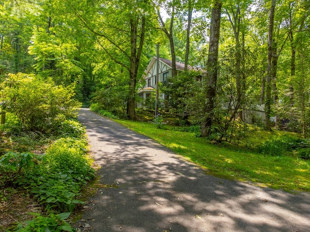 1504 Red Marble Rd, Andrews, NC 28901 - view of street with a view of trees