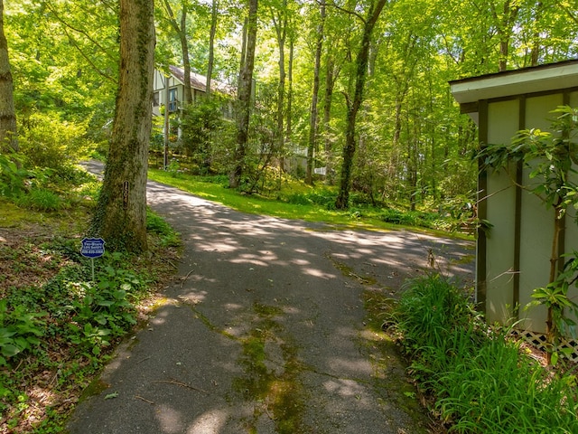 1504 Red Marble Rd, Andrews, NC 28901 - view of asphalt road