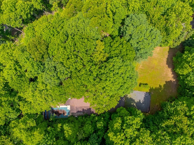 1504 Red Marble Rd, Andrews, NC 28901 - aerial view of a heavily wooded area