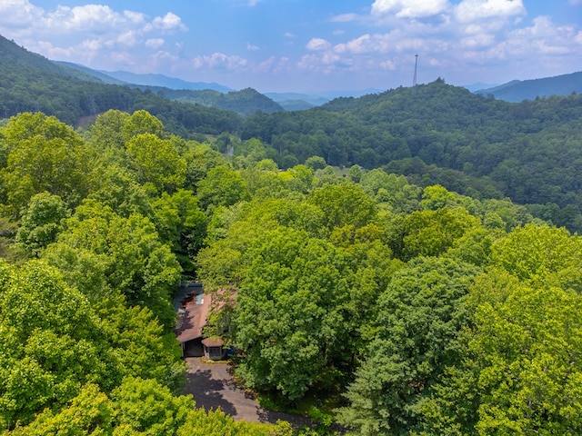 1504 Red Marble Rd, Andrews, NC 28901 - view of mountain background with a forest