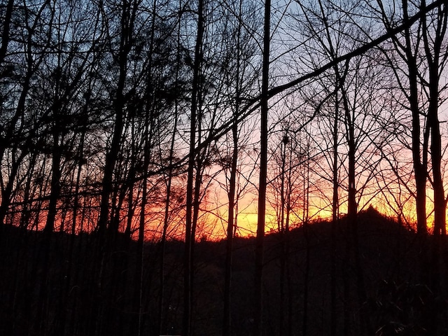1504 Red Marble Rd, Andrews, NC 28901 - view of nature