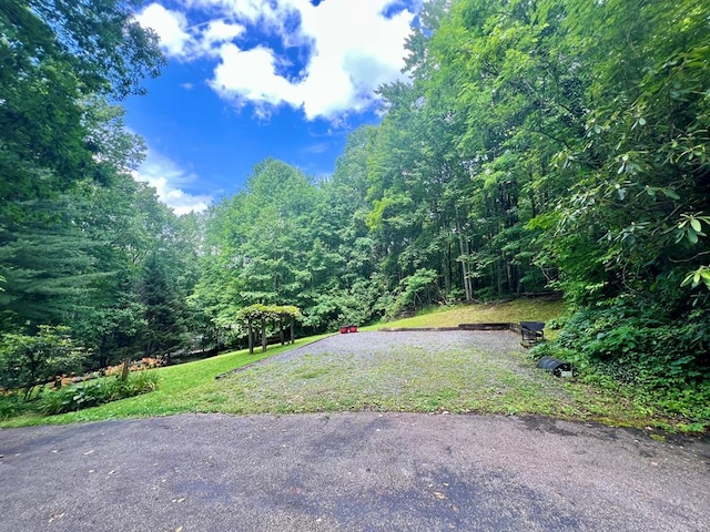 1504 Red Marble Rd, Andrews, NC 28901 - view of grassy yard featuring a view of trees