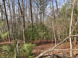 LT1032 Eagle Ct, Ellijay, GA 30540