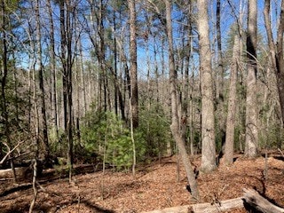 LT1032 Eagle Ct, Ellijay, GA 30540