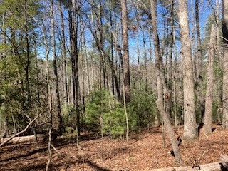 LT1032 Eagle Ct, Ellijay, GA 30540